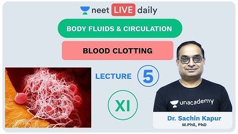 Body Fluids & Circulation - Lecture 5 | Unacademy NEET | LIVE DAILY | NEET Biology | Dr Sachin Kapur