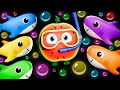 Baby Shark no Fundo do Mar! 🦈🍉 Vídeo Sensorial de Frutas | Frutinhas Divertidas #frutinhas #bebê
