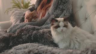 BEDSURE Soft Faux Fur Throw Blanket Black   Fuzzy Fluffy Cozy Warm Plush Furry Decorative via amazon screenshot 5