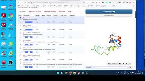 Homology Modeling using SWISS-Model Server