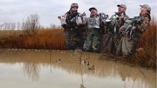 Duck Hunting a Tiny Cornfield Pond | Only 60 yards wide! | Missouri Mallards 2024