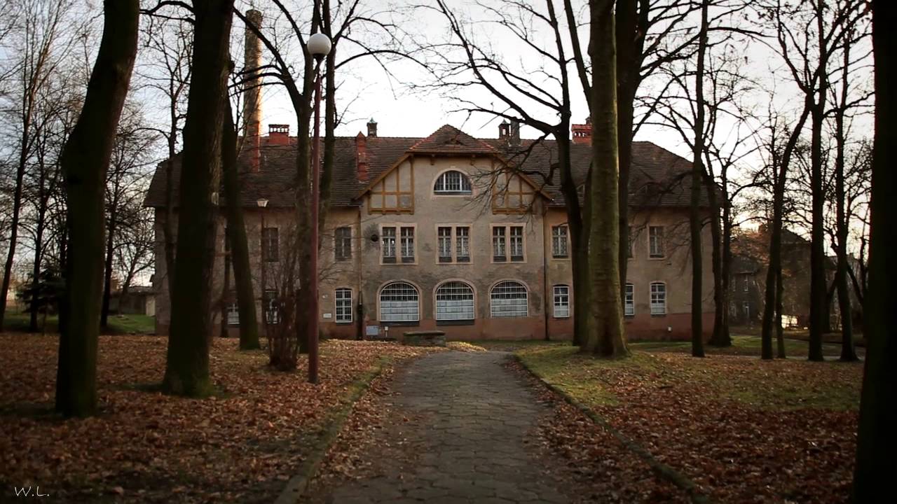 Wojewódzki Szpital Dla Nerwowo i Psychicznie Chorych w Lubiążu - " Z