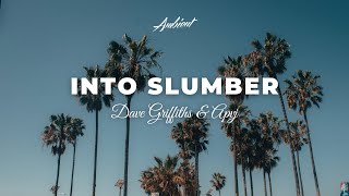 Dave Griffiths & APvJ - Into Slumber [relaxing meditation guitar]