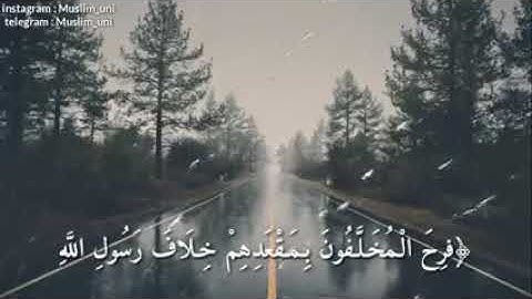 أجمل تلاوة خاشعة من آيات القرآن الكريم