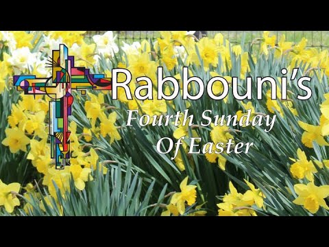 Fourth Sunday of Easter 2024