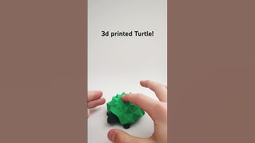 3d printed squishy turtle