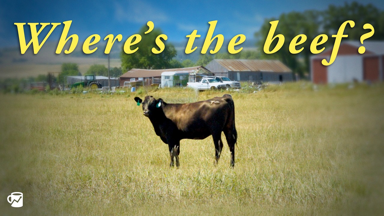 Who broke America's beef industry?