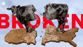 Who broke America's beef industry
