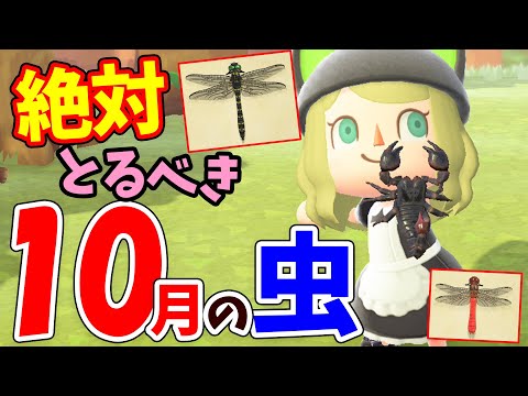 【あつ森】10月の虫を全て紹介!秋のレアな虫の値段や捕まえ方のコツをコンプしながら徹底解説!サソリやオニヤンマの模型はもう作った?【あつまれどうぶつの森 攻略】