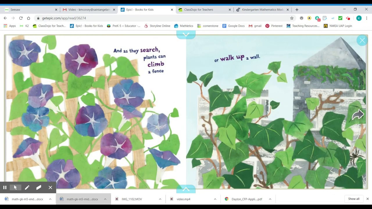"Plants Can't Sit Still" by Rebecca E. Hirsch Read Aloud by Ms. Kile