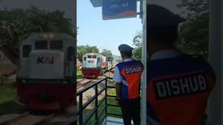 JPL Dishub melayani KA PROBOWANGI #keretaapi #railway #railroad #perlintasankeretaapi