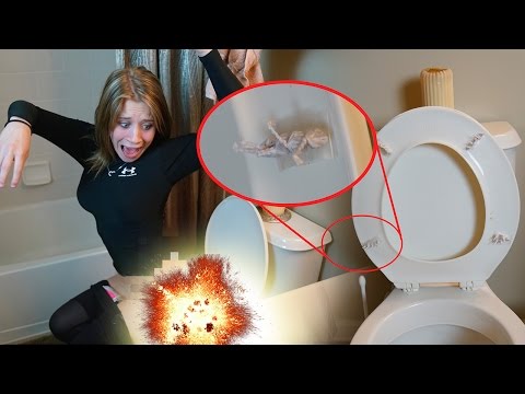 crazy-toilet-scare-prank-on-girlfriend!