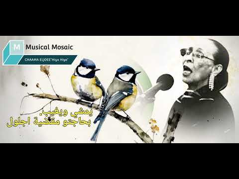 شاما هي هي مع كلمات الاغنية