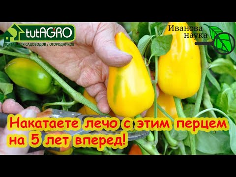 ЭТОТ ПЕРЕЦ СЕЙТЕ В МАРТЕ БЕЗ ПОДСВЕТКИ. Урожай перца без проблем и затрат.