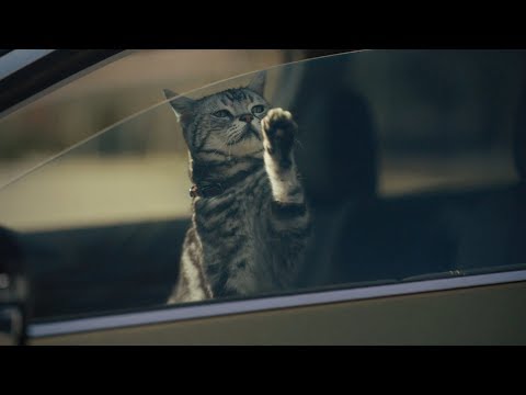 subaru-dog-tested-i-subaru-commercial-i-rest-area