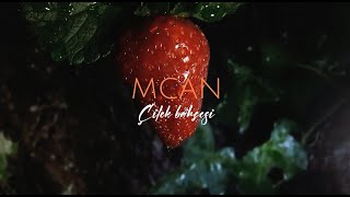 MCAN-Çilek Bahçesi Resimi