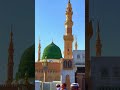 Mera Dil To Mohabbat Ka Ghar #⭐🌹 | #muharram 🥀#new #trending #short viral#subscribers #like🥀#share
