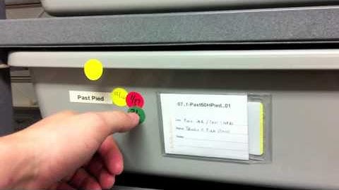 Pro Tips: Ball Python Breeding - Pt 3