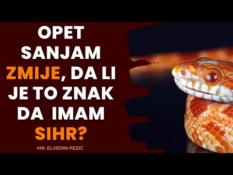 Video: Ko znači simbol zmije?