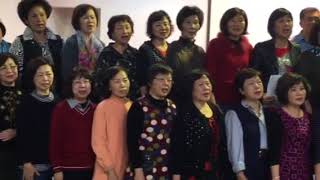 雪中紅