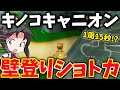 キノコキャニオンの壁登りバグショートカットを解説！【ゆっくり実況】