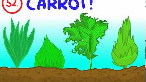 The Impossible Quiz attempt #1