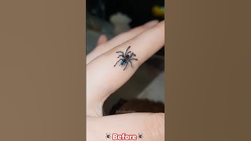 Animal Migration Journeys!😱 #beforeandafter #animaltransformation #animals