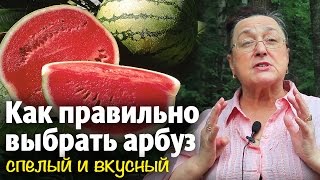 Как правильно выбрать арбуз спелый и вкусный || добрые советы(Советы: Как правильно подобрать вкусный арбуз и спелый По размеру Необходимо остерегаться огромных арбузо..., 2016-07-25T08:10:11.000Z)