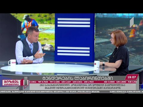 ქართული კომპანიები მსხვილი სახელმწიფო პროექტების მიღმა