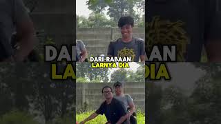 Bagaimana Cara Menilai Burung Merpati yang Bagus  Ini Jawabannya!