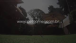 Pet Bolhas da Pet Games - Atice o instinto de caça por diversão! screenshot 1