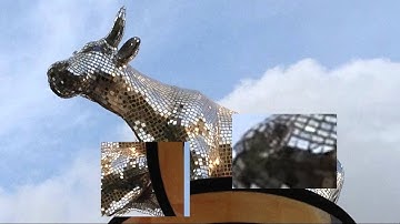 RotZoomer: From the XScreenSaver Collection, 2001.