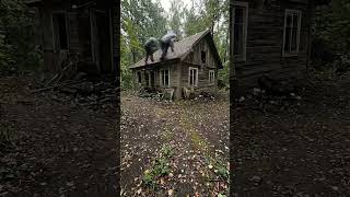Abandoned Cabin Transformation: From Trash to Dream Home! 🌲🏠  #AbandonedCabin