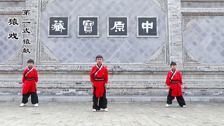 校园五禽戏（小学版） School Wu Qin Xi (primary school) English Explained - DayDayNews