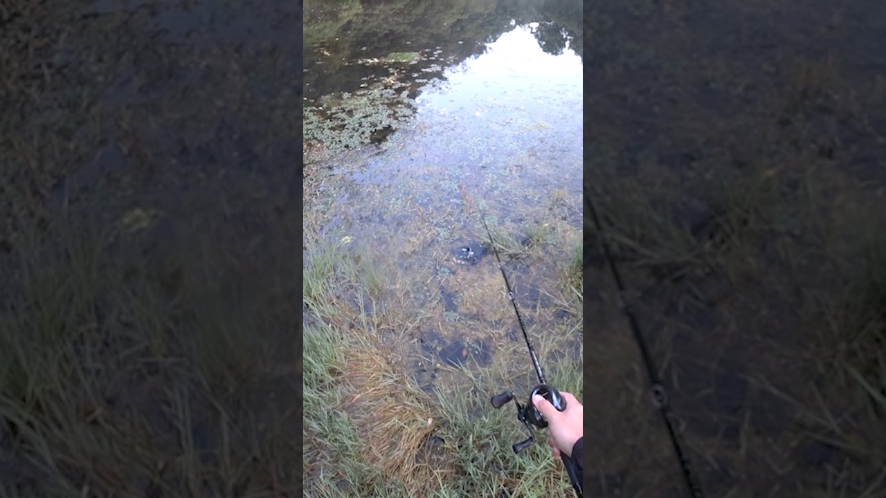 カエルが飛び込んだ穴にルアーを落とすと・・・😱