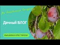 393 #Дачный субботний ВЛОГ без вышивки/Прогулка на берег Волги/Собираем сливу