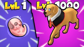 🔥 ALL LEVELS 🔥 Dog Life Simulator | Download Play-App Store APK