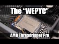 AMD Ryzen Threadripper PRO 3995WX Review the "WEPYC"