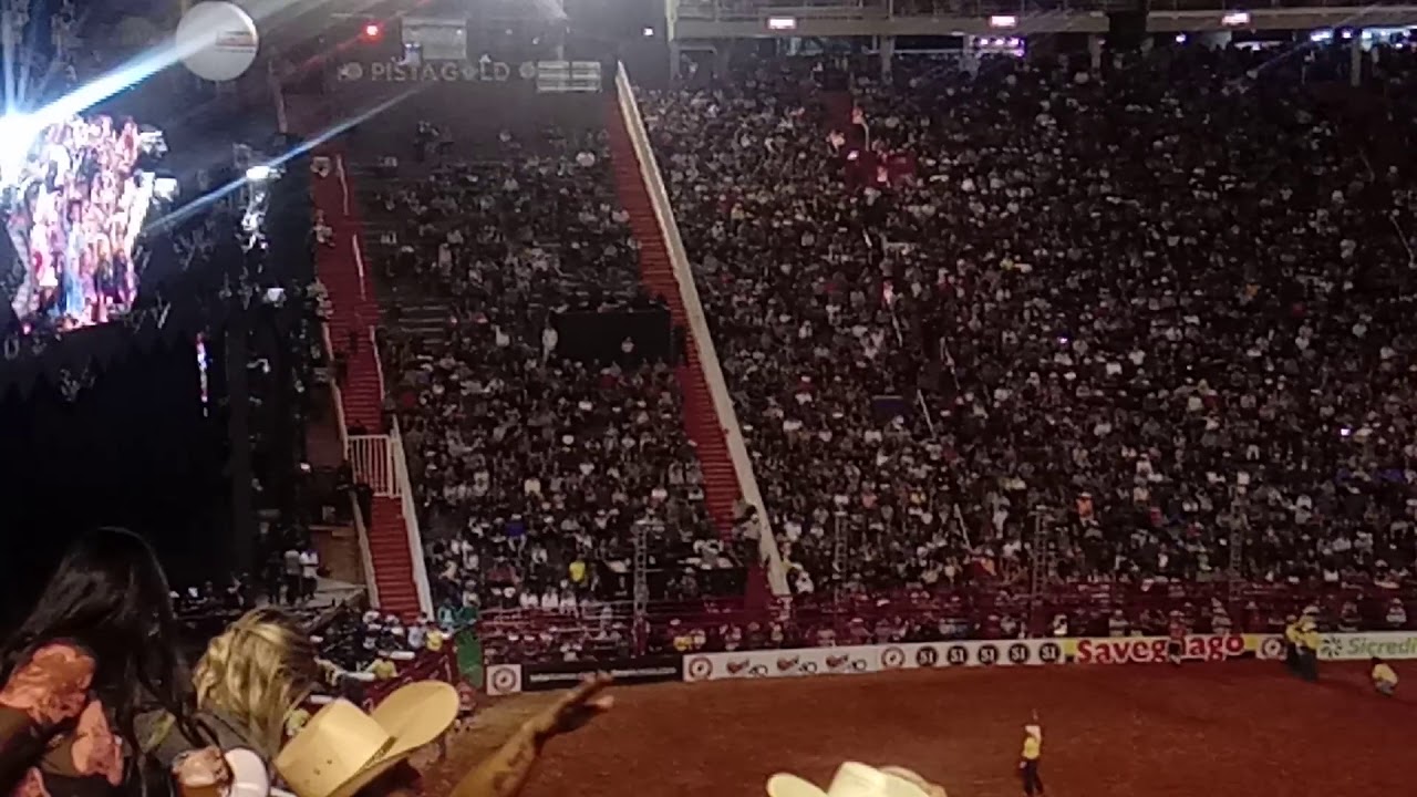 BERRETOS 2019(24)