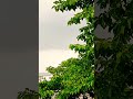 before rain weather #rain