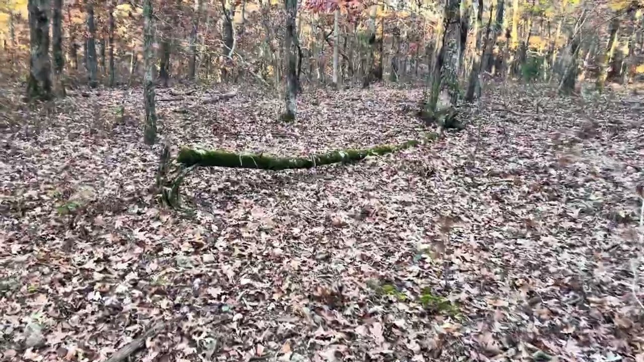 Поездка по дороге в округе Озарк - место для разведки и охоты!