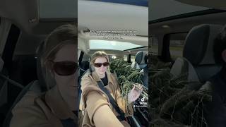 POV: Your dad refuses to scratch his car for a Christmas tree #christmas #dadjokes #christmastree