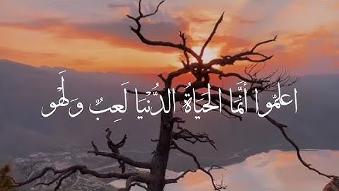 اعلموا انما الحياة الدنيا لهو ولعب - سورة الحديد - جابر القيطان.
