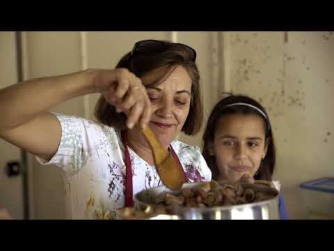 Fiesta de San Marcos en Palencia