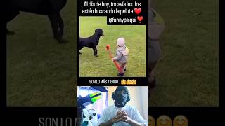 son lo mas tierno 🤣🤣 #comedy #humor #magic #viralshort #duet #dúo #memes #dog #dogs #funny