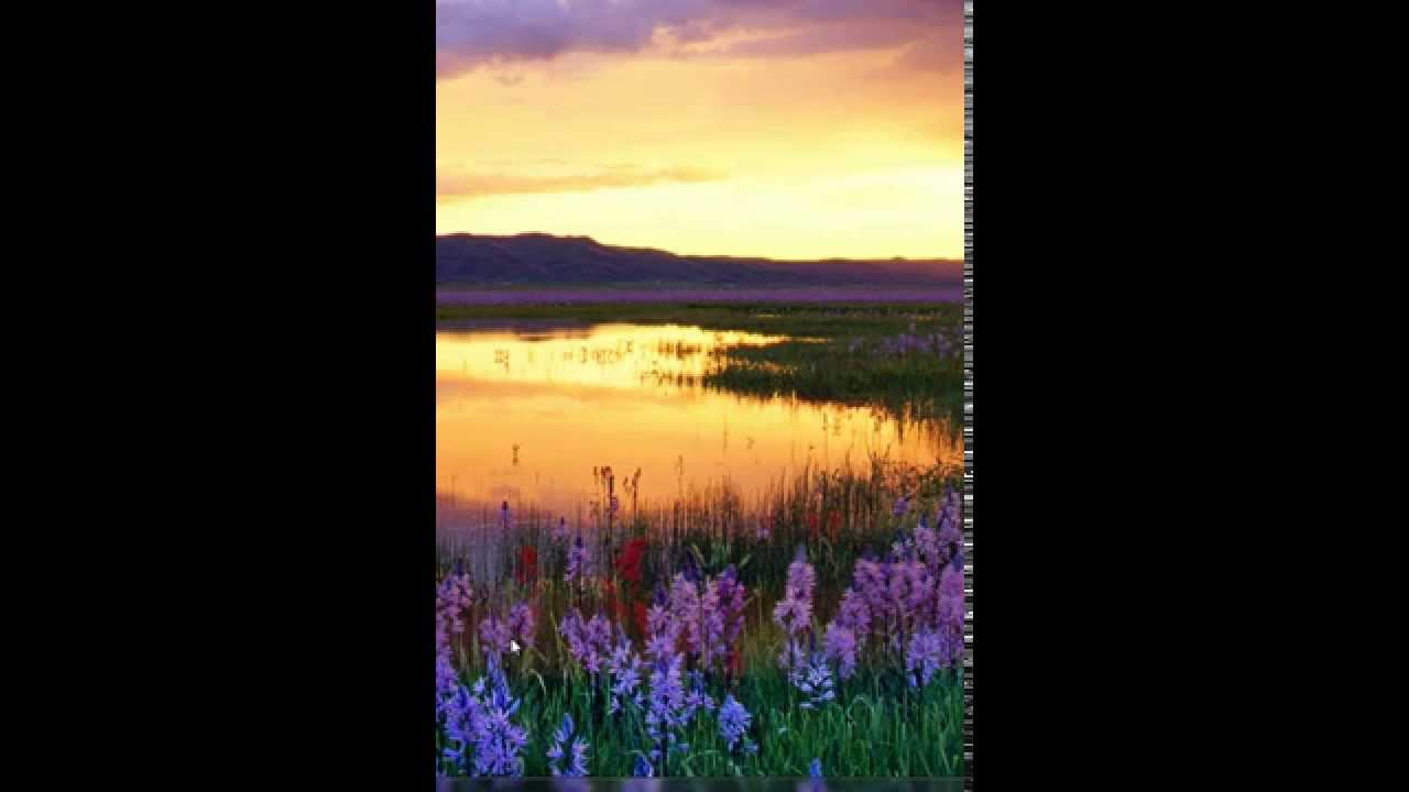 Affiliate Millionaire Club,Affiliate Millionaire Club Review, Affiliate Millionaire Club Scam