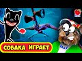 СИРЕНОГОЛОВЫЙ и КОТ против МАКСА! Новый мод! СОБАКА ИГРАЕТ!(Siren Head Cartoon Cat)#7 Валеришка Макс