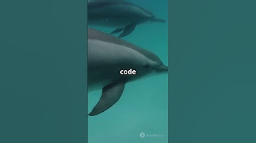 AI TRIED TO DECODE DOLPHIN LANGUAGE — THEN THIS HAPPENED🤯