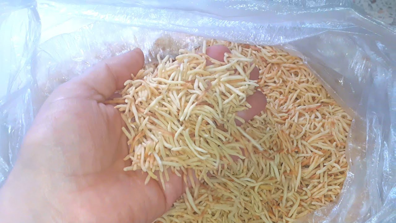 ارواحو يالموبتاديئات حبيتو تخدمو على رواحكم مديتلكم 3طرق ساهلين باش تخدمو مقرون لعمى مع سعر بيع👍