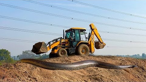 JCB 3dx xpert Loading Mud in Mahindra 475 Di tractor JCB video #jcb #farming